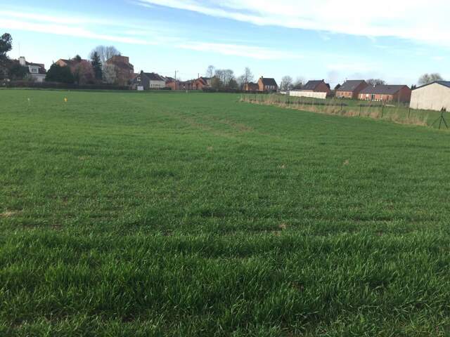 Terrain à bâtir de 986 m² à Preux-au-Sart - Prix total 72 000 € — photo du bien