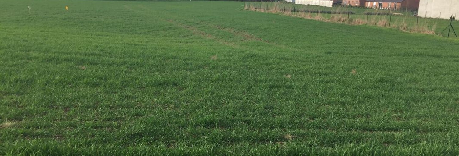 Terrain  986 m² à vendre à Preux-au-Sart (59144)