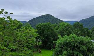 Maison 9 Pièces 306 m² à vendre à Saint-Pé-de-Bigorre (65270)