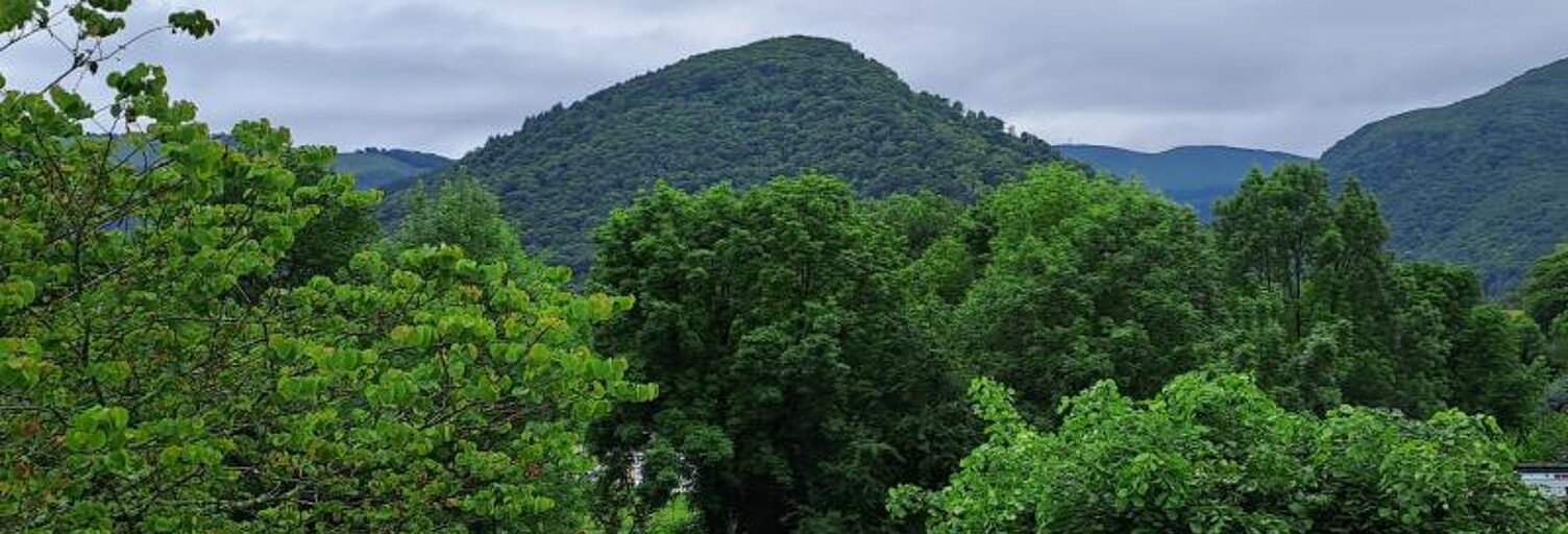 Maison 9 Pièces 306 m² à vendre à Saint-Pé-de-Bigorre (65270)