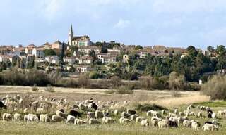 Terrain  730 m² à vendre à Ouveillan (11590)