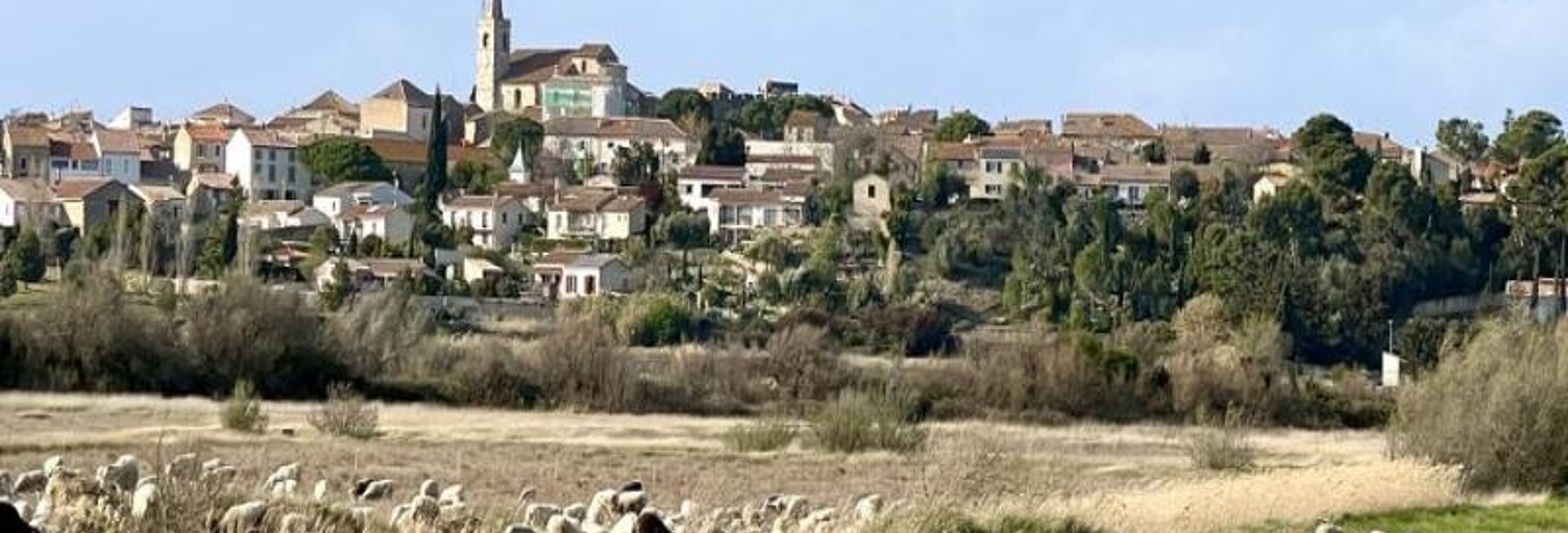 Terrain  730 m² à vendre à Ouveillan (11590)