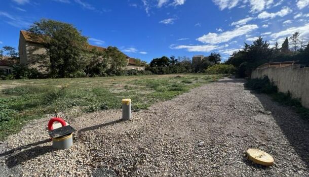 Terrain  à vendre Ouveillan 11590