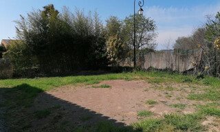 Photo N° 16