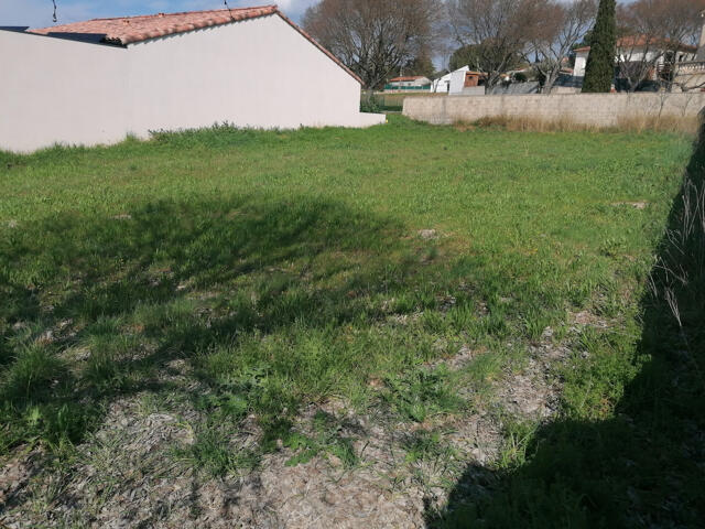 Terrain proposé à Vendémian