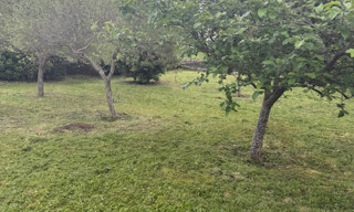 Photo N° 3