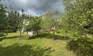 Photo N° 6