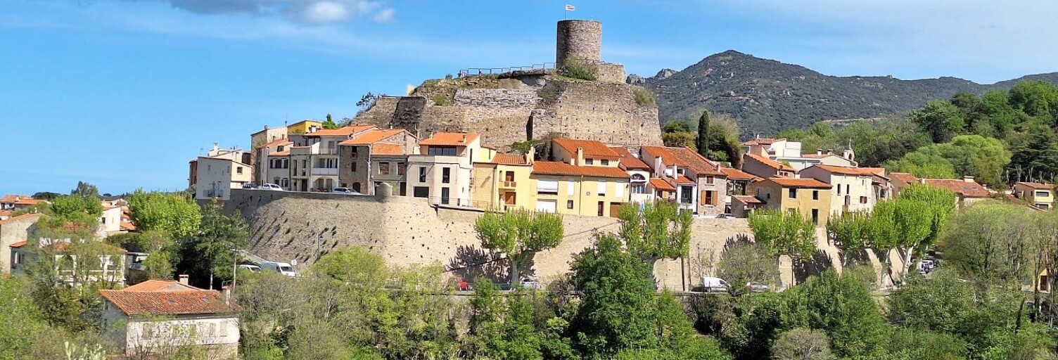 Maison 9 Pièces 360 m² à vendre à Laroque-des-Albères (66740)