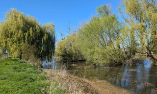 Photo N° 6