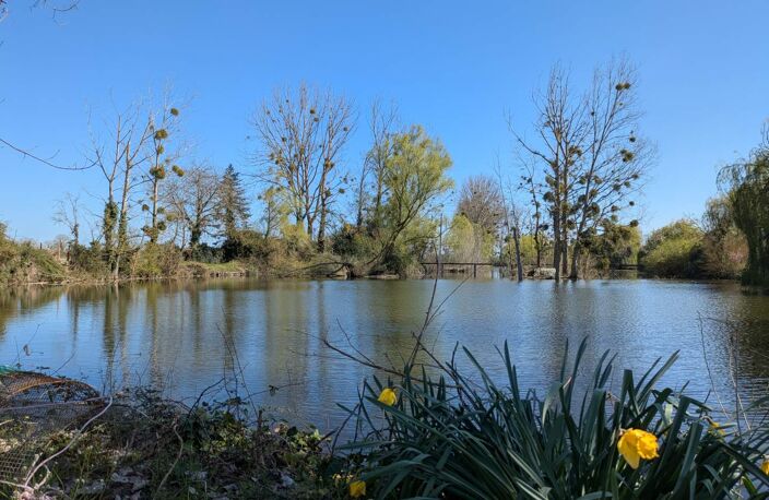 Vente terrain  2 m² Trogues (37220) — photo 3