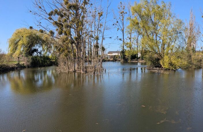 Vente terrain  2 m² Trogues (37220) — photo 4