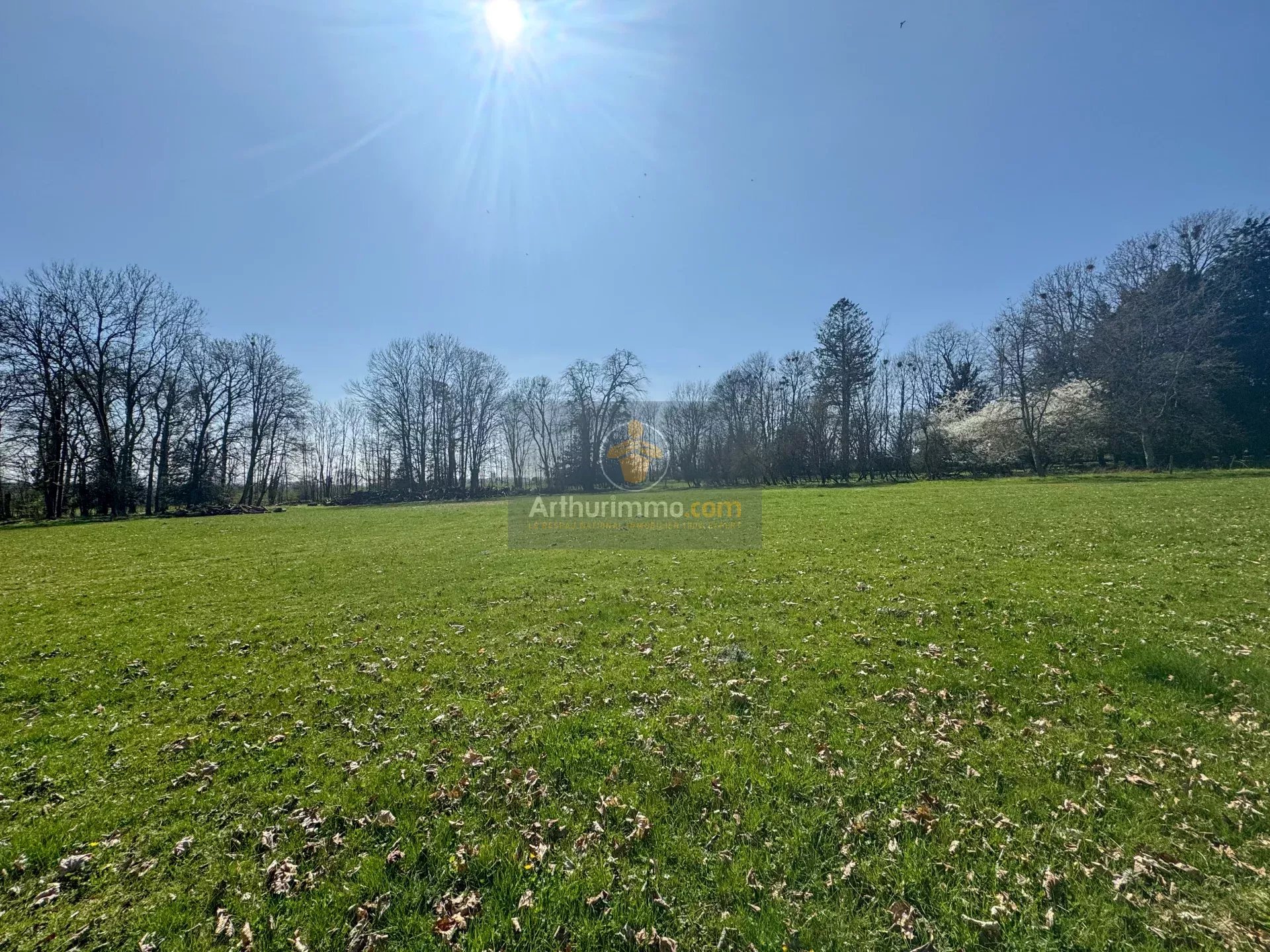 Vente Terrain 17497 m2 à Longeau-Percey · 175 000 €