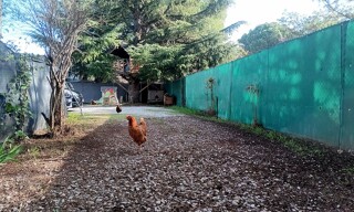 Photo N° 5