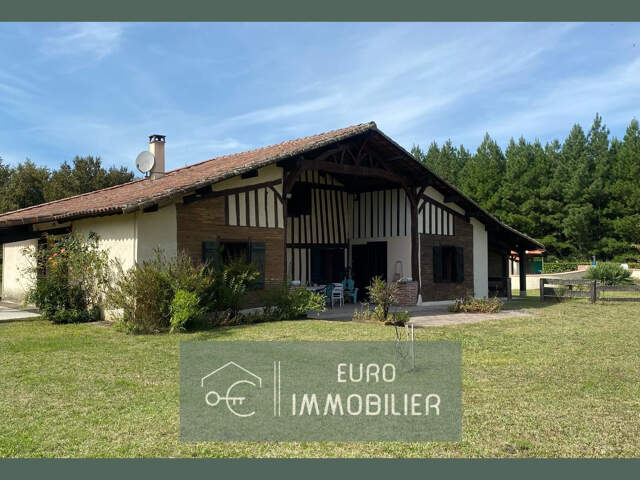 Propriété 2 habitations - Maison - Landaise - Piscine - Ecur — photo du bien