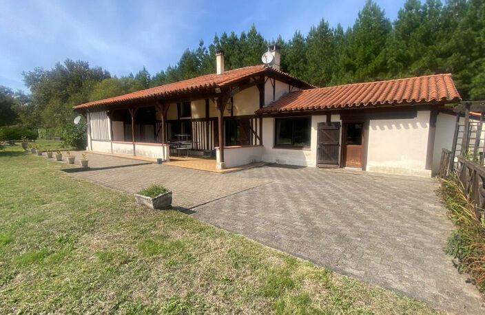 Propriété 2 habitations - Maison - Landaise - Piscine - Ecur — photo 4