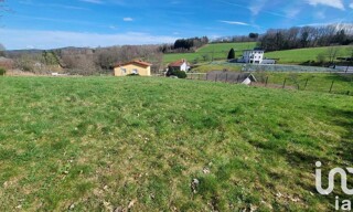 Photo N° 4