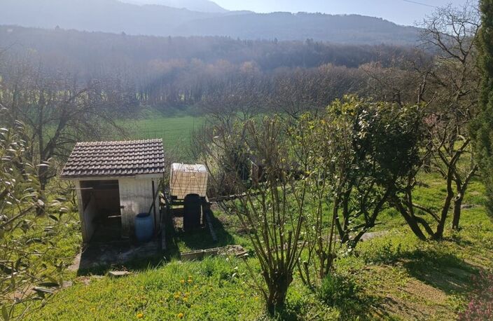 MAISON — photo 2