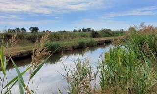 Terrain  10314 m² à vendre à Saint-Bonnet-sur-Gironde (17150)