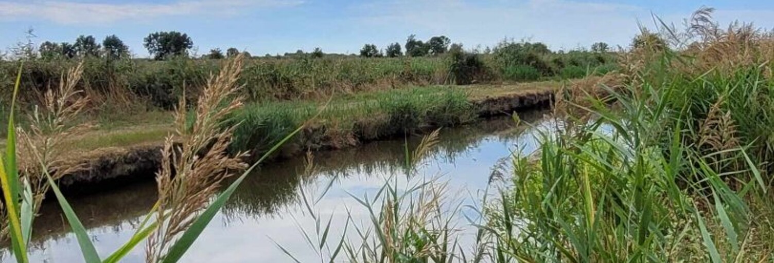 Terrain  10314 m² à vendre à Saint-Bonnet-sur-Gironde (17150)