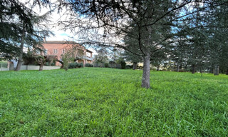 Photo N° 8