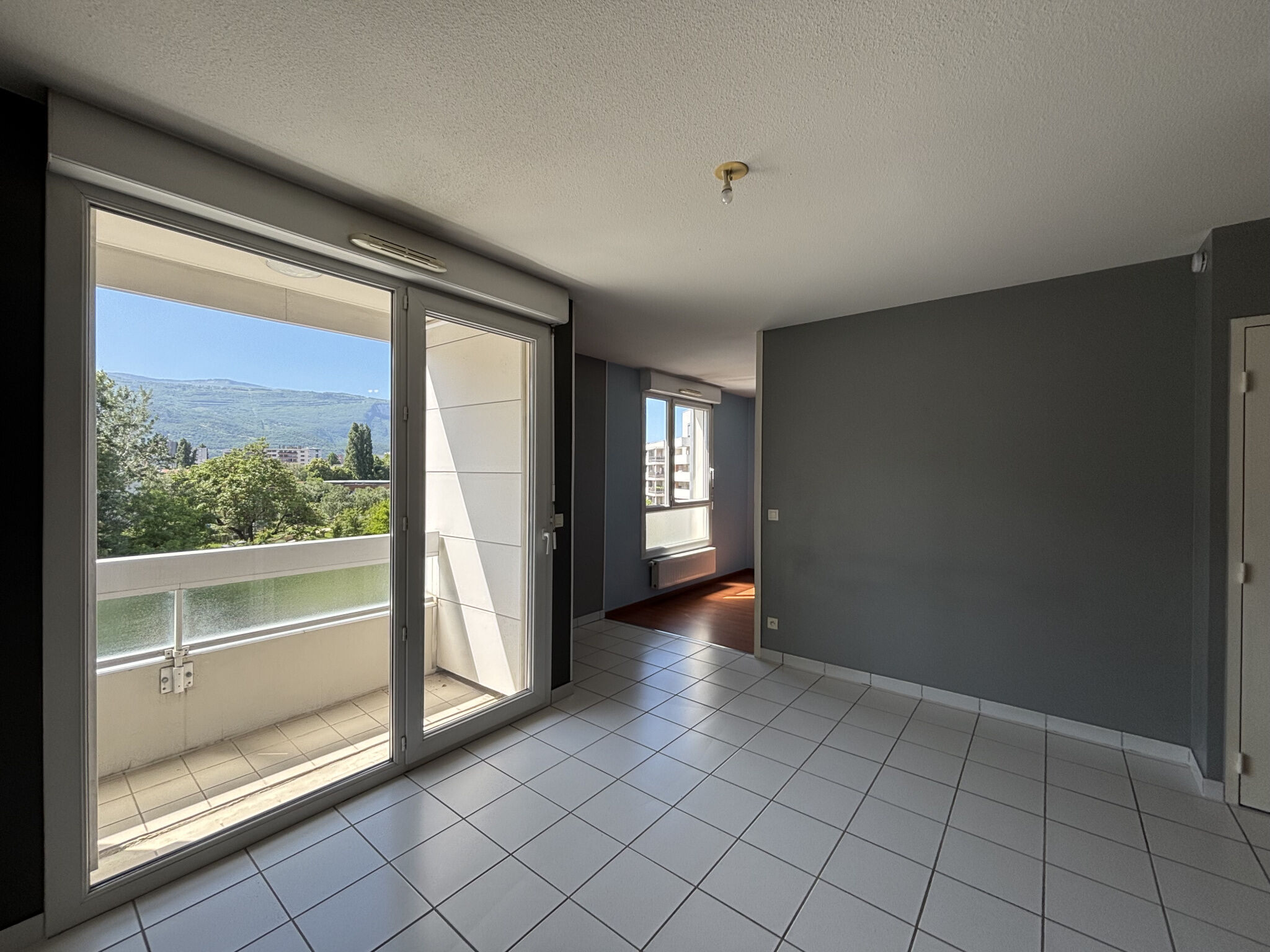 Appartement 1 pièces  à louer Grenoble 38100
