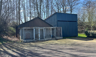 Photo N° 4