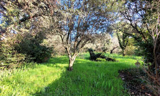 Terrain  1581 m² à vendre à Saint-Paul-Trois-Châteaux (26130)