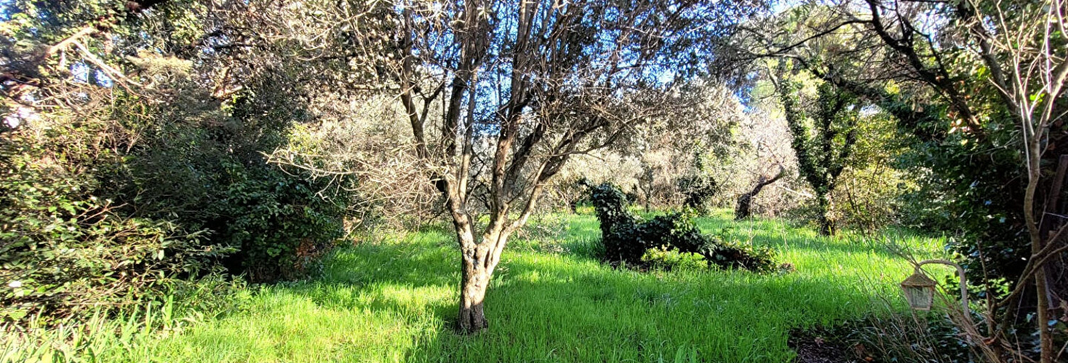 Terrain  1581 m² à vendre à Saint-Paul-Trois-Châteaux (26130)