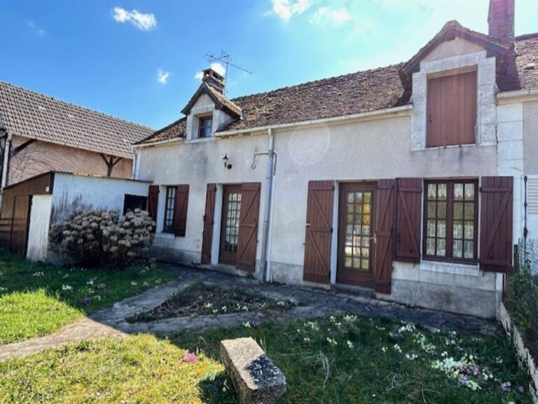 PROCHE ST FARGEAU  LONGERE — photo 1