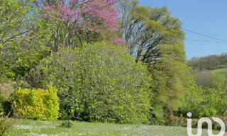 Photo N° 5