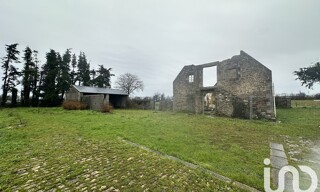 Photo N° 7