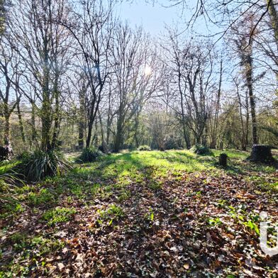 Terrain  50000 €