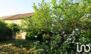Photo N° 4
