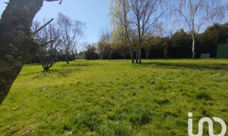 Photo N° 19