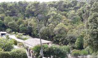 Photo N° 5