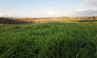 Terrain  900 m² à vendre à Périgueux (24000)