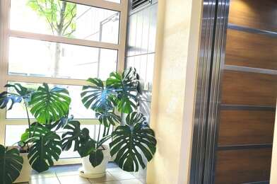 Appartement 2 pièces 177000 €