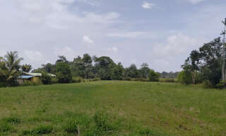 Terrain  5511 m² à vendre à Montsinéry-Tonnegrande (97356)