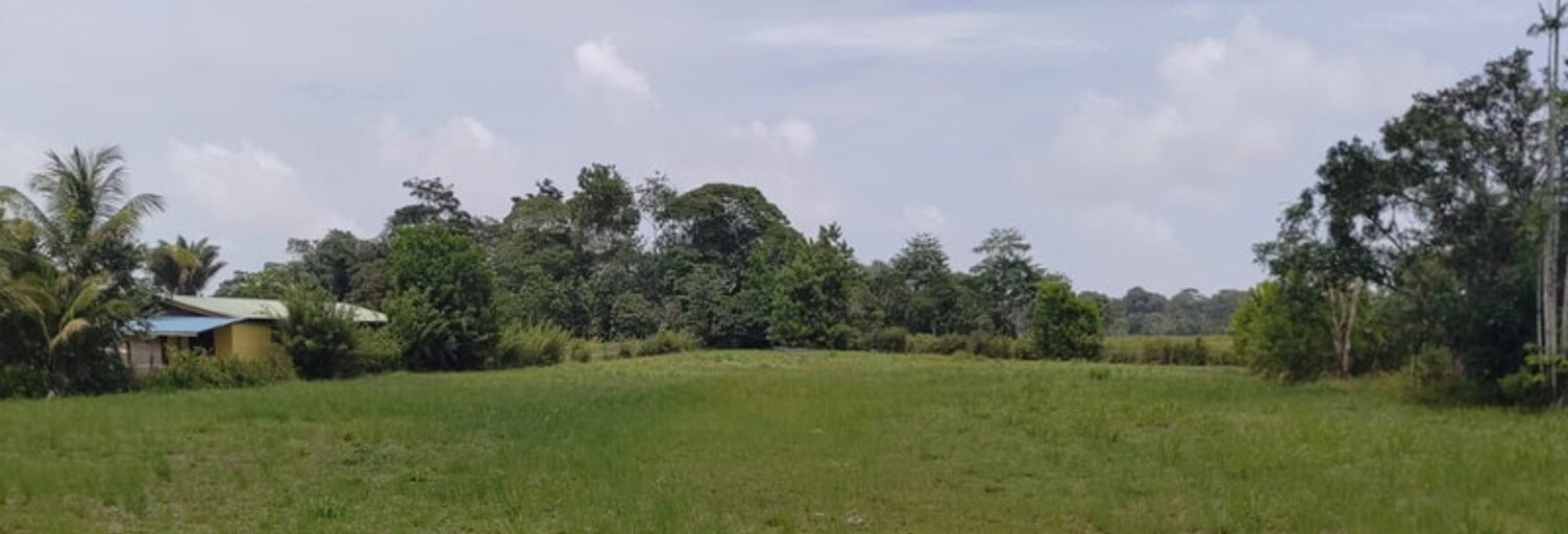 Terrain  5511 m² à vendre à Montsinéry-Tonnegrande (97356)