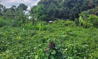 Terrain  75 m² à vendre à Saint-André (97440)