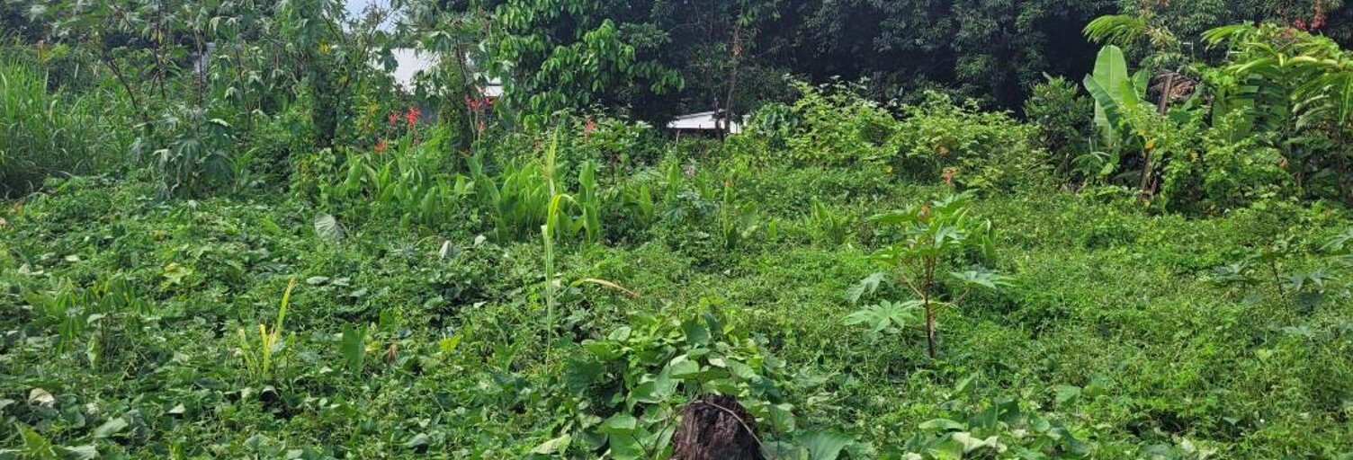 Terrain  75 m² à vendre à Saint-André (97440)