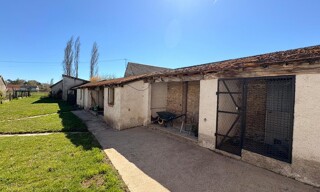 Photo N° 9