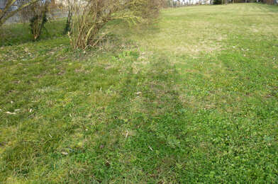 Terrain  29500 €