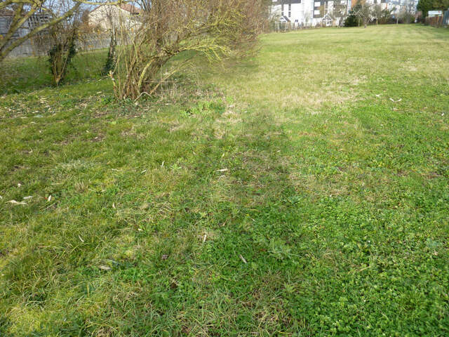 terrain 0 pièces — photo du bien