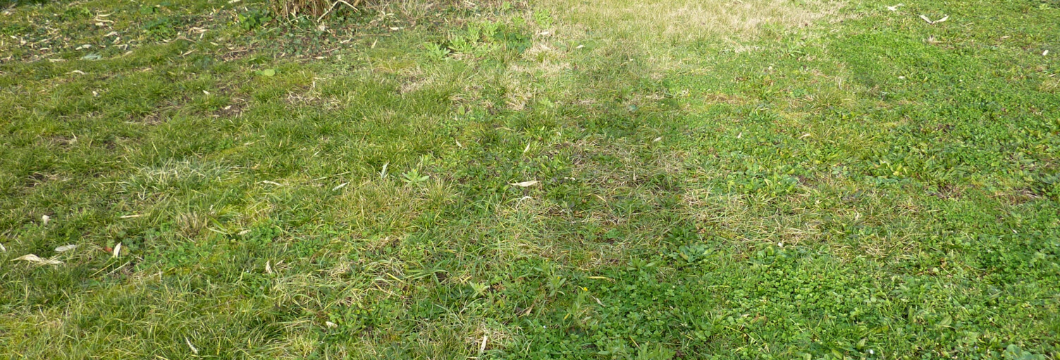 Terrain  2055 m² à vendre à Montmorillon (86500)