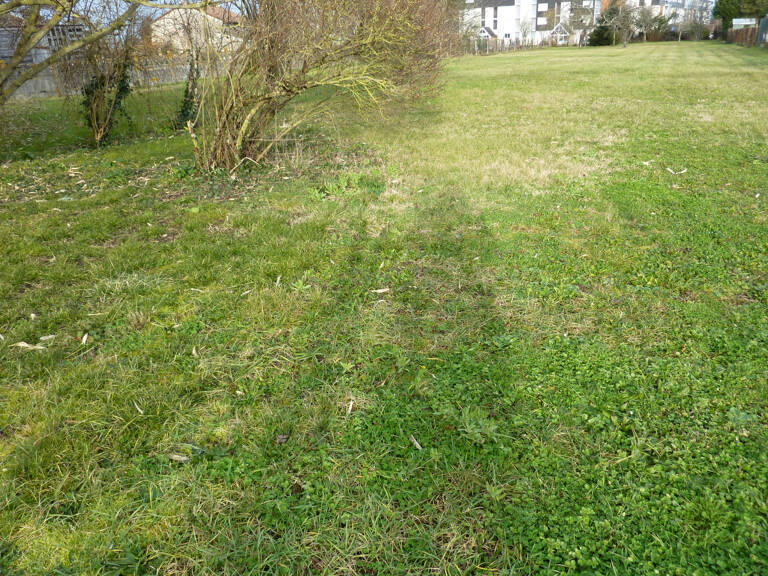 terrain 0 pièces — photo 1