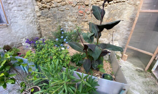 Photo N° 4