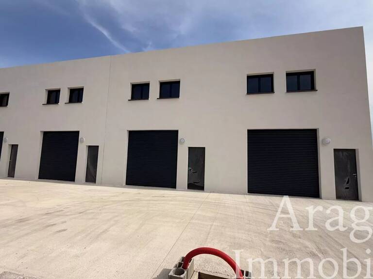 ENTREPOT + BUREAUX ZONE ARTISANALE ST ESTEVE — photo 1