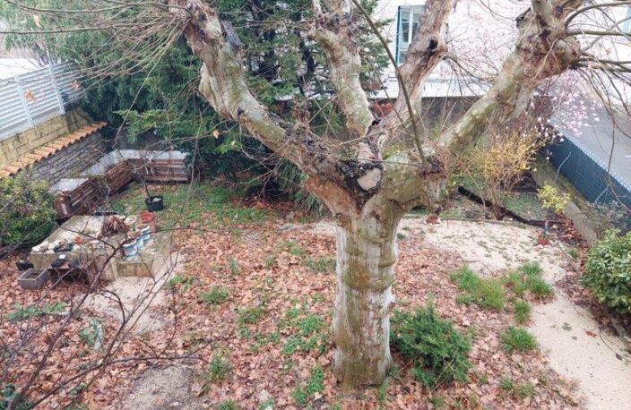 Immeuble — photo 3