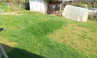 Photo N° 5